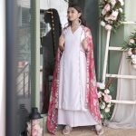 Cheveron pattern georgette suit with mirror embroidered, paired with printed organza dupatta